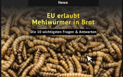 Ekelhaft? EU erlaubt Mehlwürmer in Brot – Was du jetzt wissen musst!